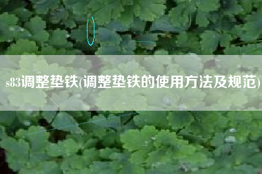 s83<a href='http://www.hlhbcc.com/jichuangdiantiexilie/' target='_blank' title='調(diào)整墊鐵' ><strong>調(diào)整墊鐵</strong></a>(調(diào)整墊鐵的使用方法及規(guī)范)